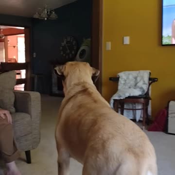 Screwed when we have a ALIEN INVASION!