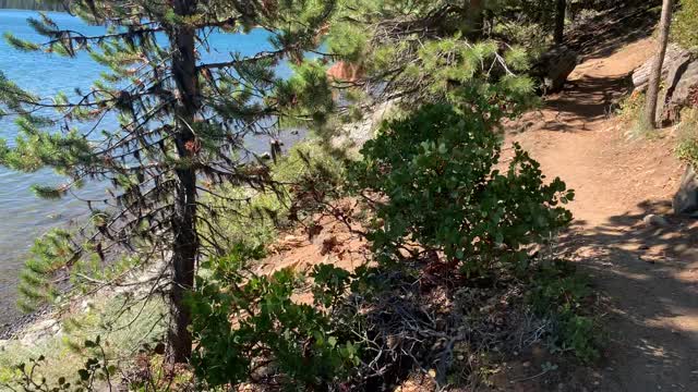 Central Oregon – Paulina Lake “Grand Loop” – Pine-o-rific Shoreline Trail