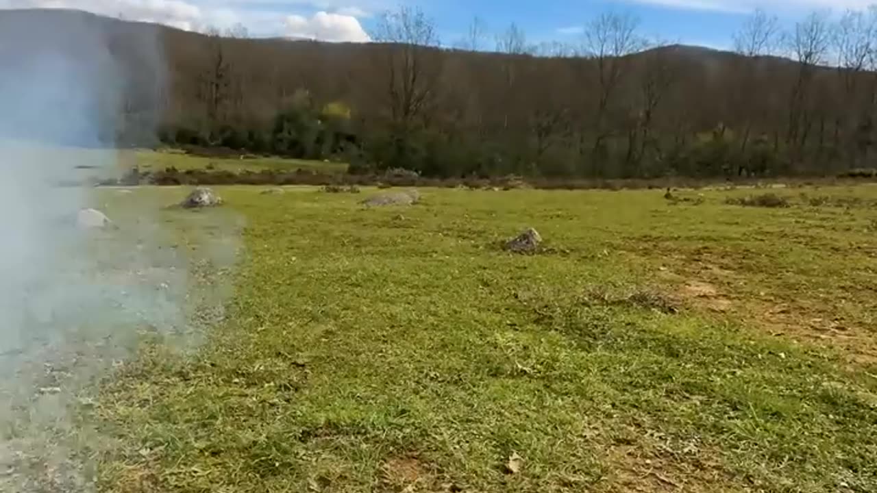 Le poulet farci n'a jamais été aussi délicieux