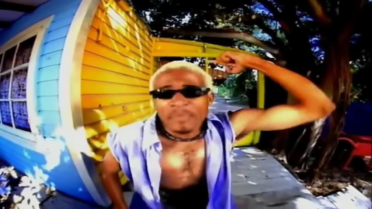 Baha Men - Who Let The Dogs Out (Official Video)