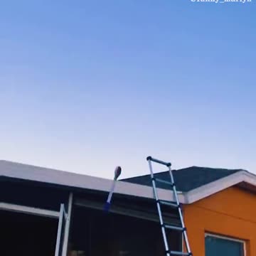 if it was rehearsed it wouldn't work so well