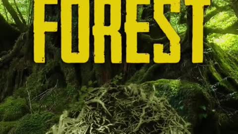 Best survival games part 2!
