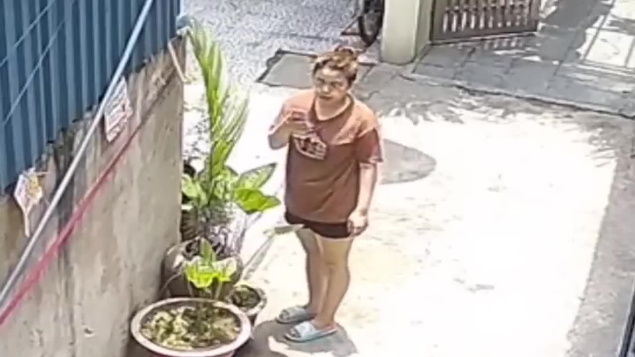 Naughty animals viral habite#0.2 virsion