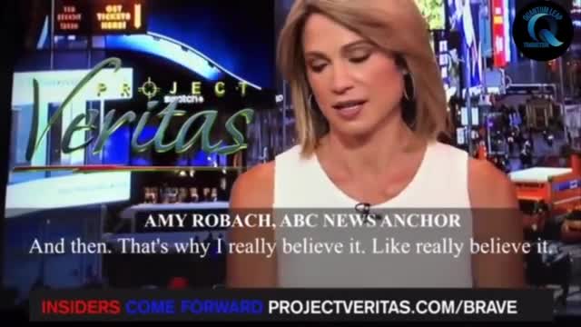 ▶ EXTRAIT-RQ + LIENS parus (27 nov 22) : Amy Robach - Elle avait tout sur Epstein...(FR)