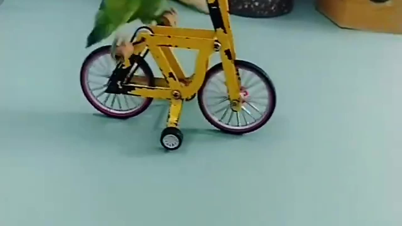 Little green parrot learns to grind and rides a bicycle to pick up coins and put them in cool cans