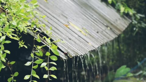 relaxation with the sound of rain, for those who have trouble sleeping