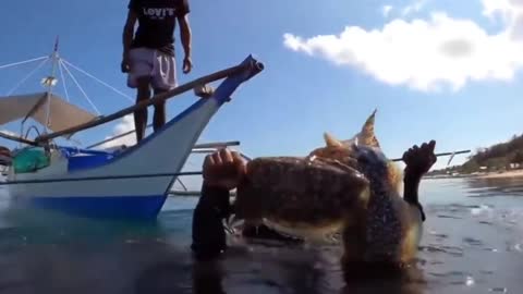 sea abroad, which is much bigger than squid