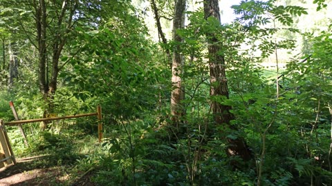 Kuggenäs naturreservat 12 Juli 2022