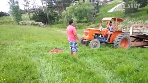 funny videos 2022