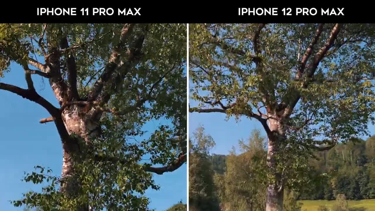 iPhone 12 Pro Max: Why I Bought It as a Pro Camera?