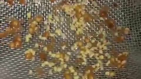 Do You Drink Nesquik? Look What She Found In It