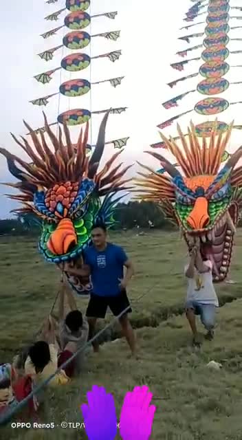 Fliying dragon