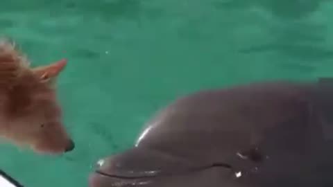 Amazing Love