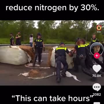 Netherland Farmers Fight Back
