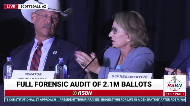 Sen. Wendy Rogers Panel Questions at the Jovan Pulitzer Paper Analysis Hearing