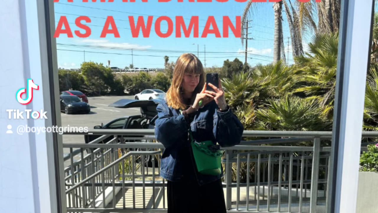 VIVIEN HANTUSCH THE MAIN HACKER ON ELON MUSK’S TWITTER ACCT