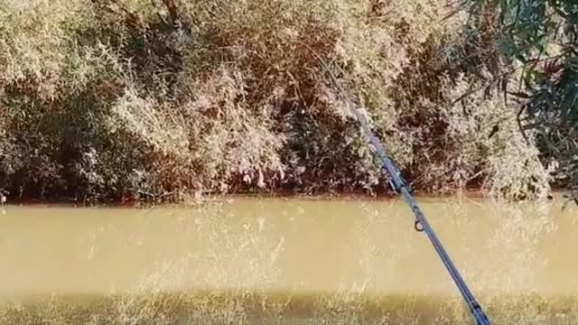 @.gofishing #natur #wasser #fänger #beautifulllife #schönesleben #gowild #follow