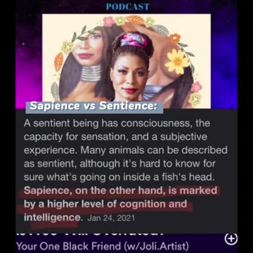 Seek Signs Of Sapience (clip from Your One Black Friend Podcast.)
