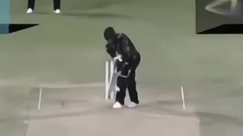 "The Fast Bowler's Odyssey: Life in the Fast Lane"