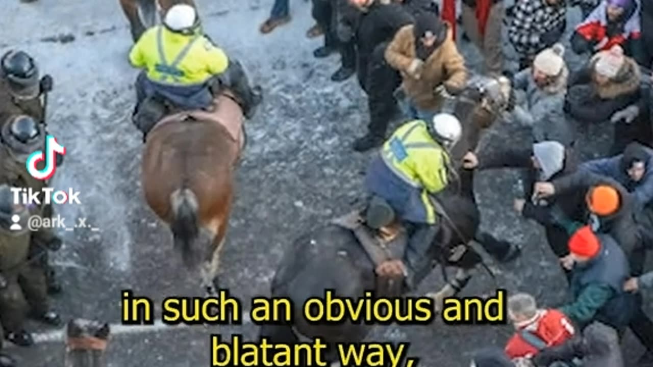 Canada 💯✊🙏❤🌎🐇