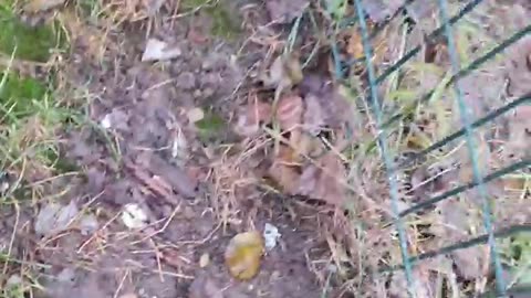 Cleaning up a park of plastic and saying a few words, everyone should do this