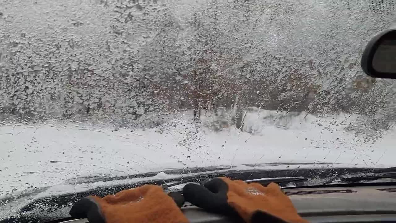 "Snow chores" 😎 from Pet Goose George