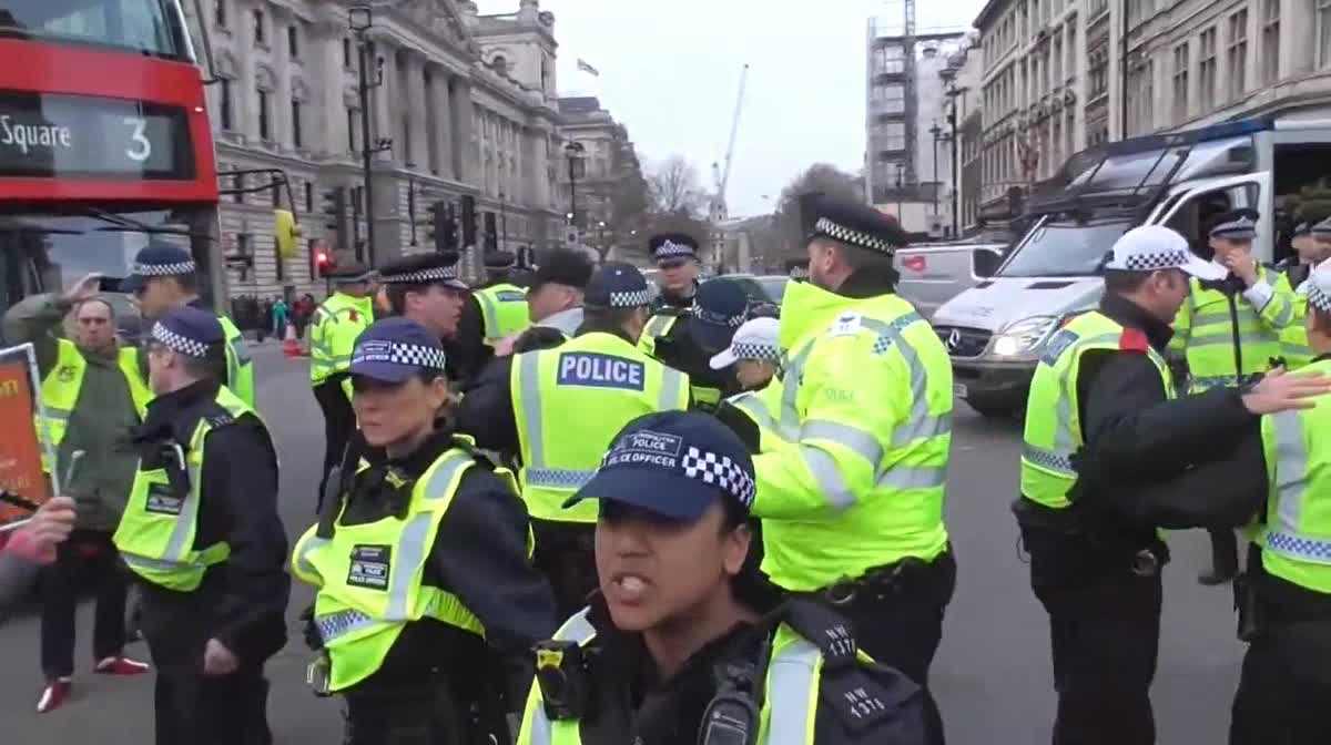 a woman pushed over by police parliment square