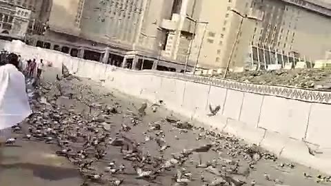 Makkah Tour Saudi Arabia Building