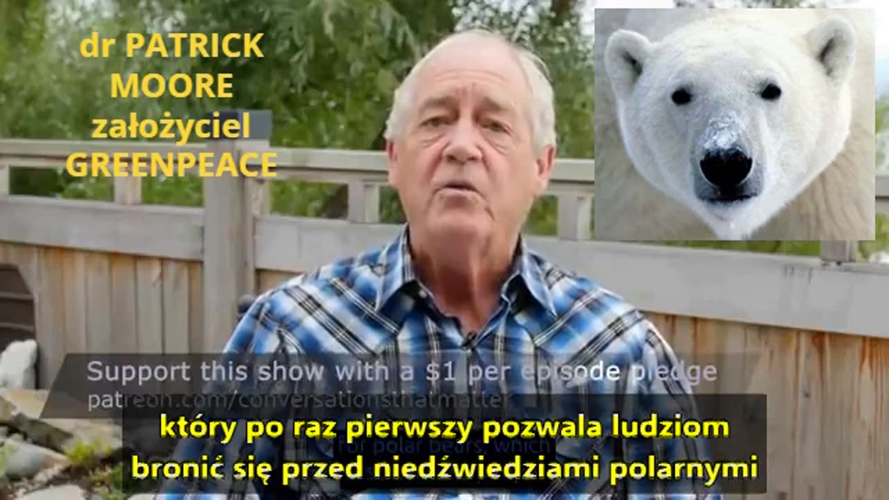 Kłamstwo o wymierającym niedźwiedziu polarnym