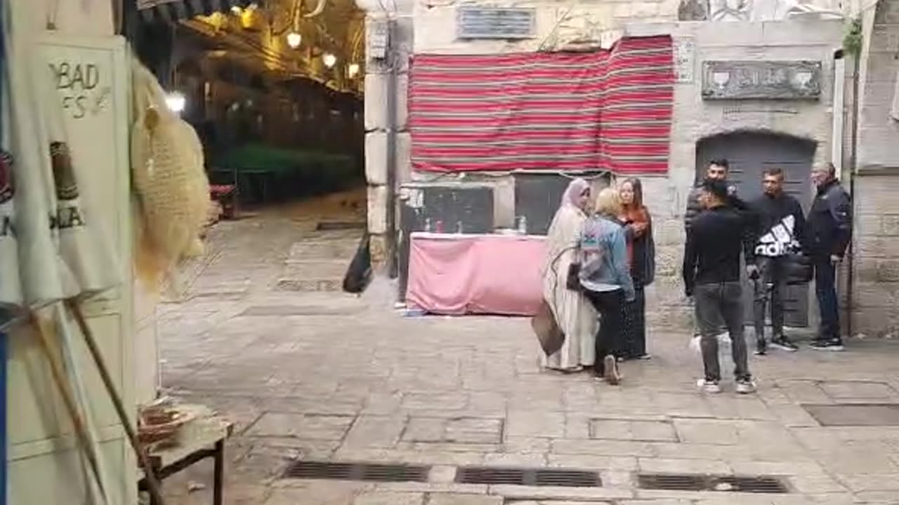 Series1: Jerusalem cats Day10 (Vid9/12)