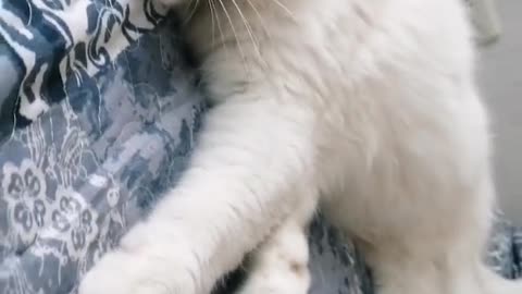 criminals People love