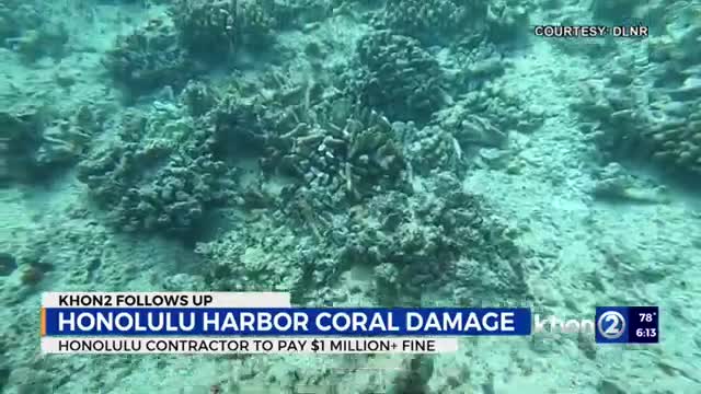 Over a $1M fine for coral damage