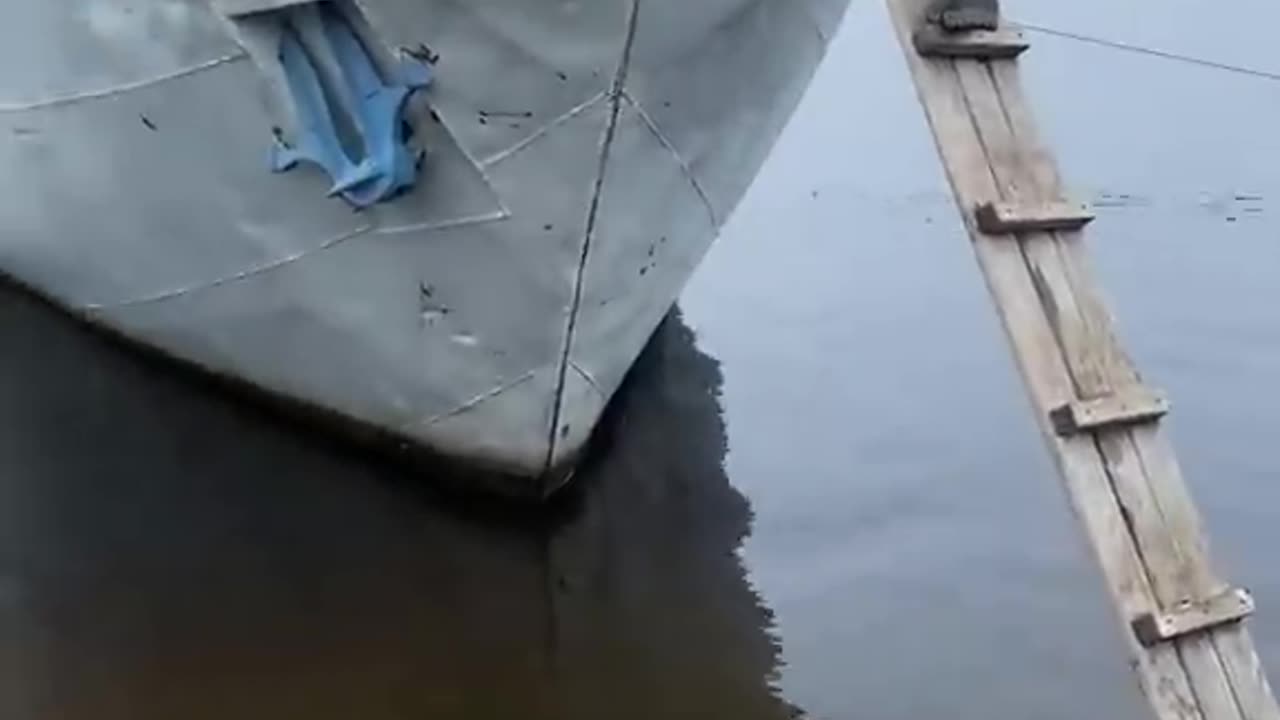 200 IQ Husky Climbs Ladder To Board Boat #Dog #Shorts #doglove #dogLovers #TrendingVideo