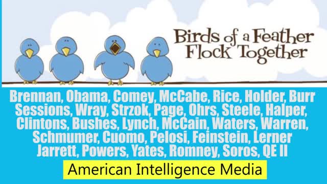 World Peace Will Come...once this flock flies away