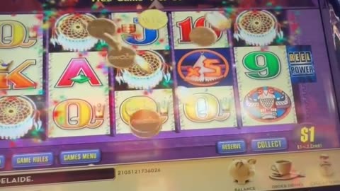 Massive hit on Indian Dreamer at Adelaide Casino!