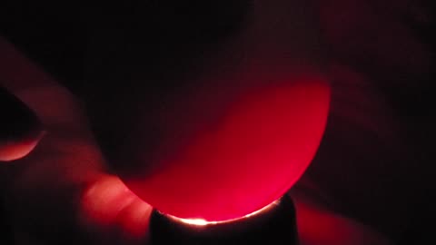 Egg candling