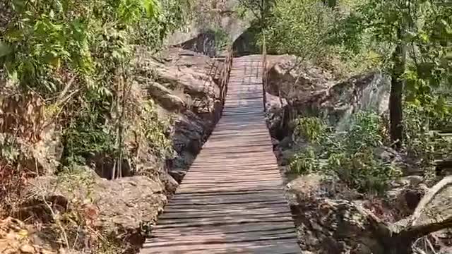 Meu reino é nas águas doces, onde me faço forte como uma cachoeira.