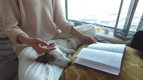puppy Jack Russell sleeps on his lap at the girl sitting by the window with a book