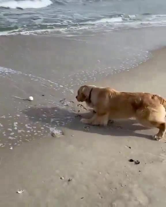 Nothing can separate him from the ball