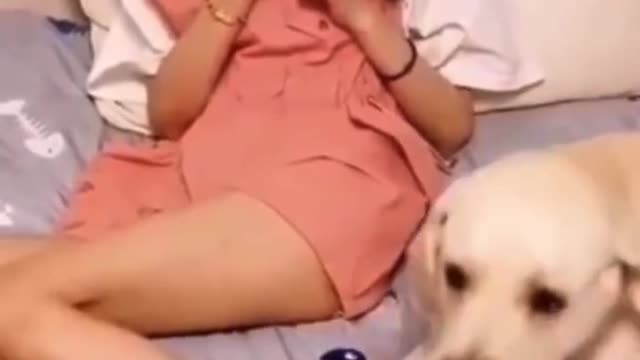 Cutie pie dog tucks her owner in at night