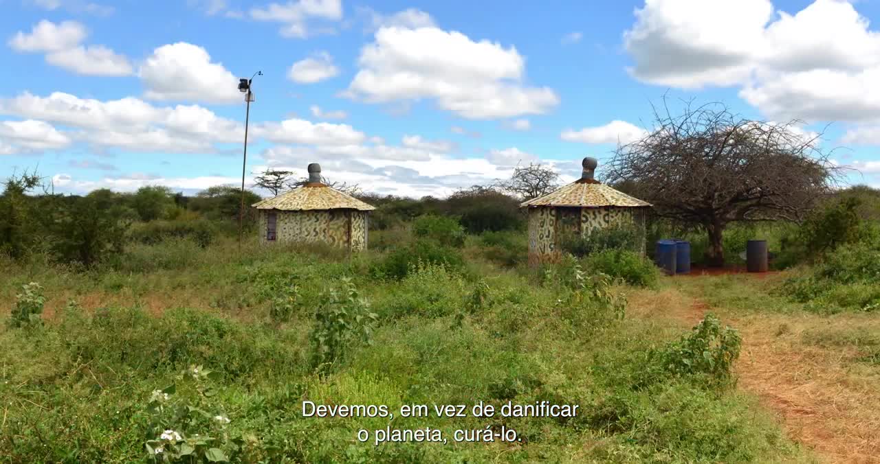DIA MUNDIAL MEIO AMBIENTE 2022