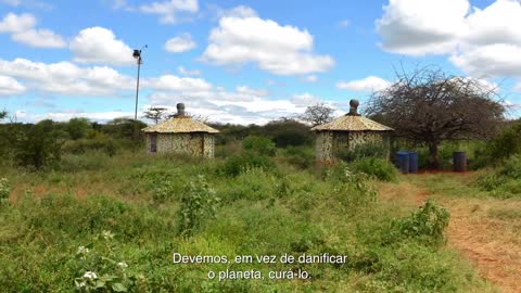 DIA MUNDIAL MEIO AMBIENTE 2022