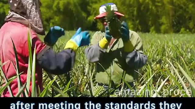 They are an important source or