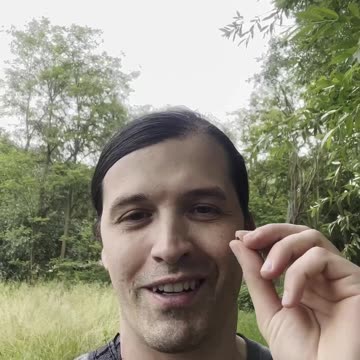 I found this tiny Snail🐌