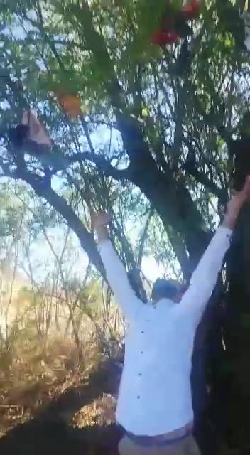 Graduation Cap for Covid-19