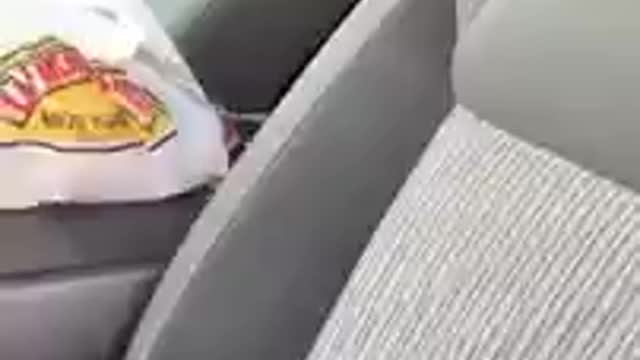 The guy catches his girlfriend cheating in the back seat of the car