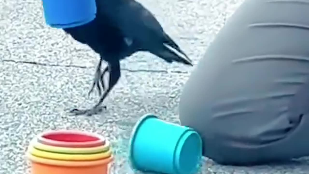 Das ist faszinierend 🤩