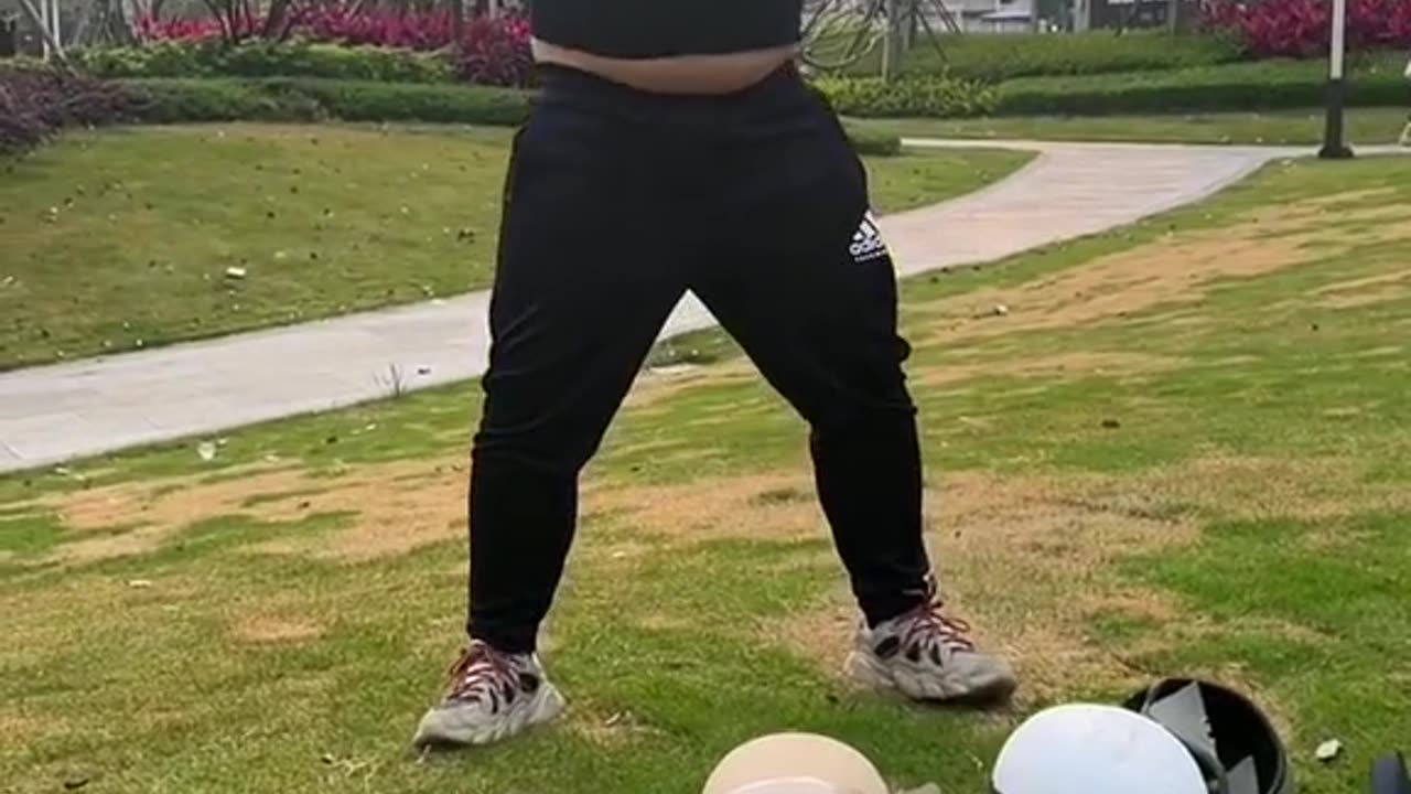 DL Panda viral videos on internet