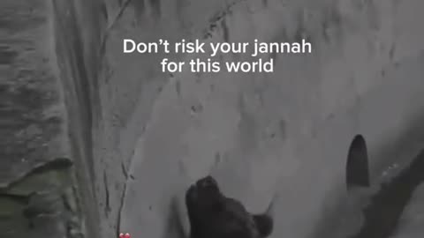 Don't waste your janah🤍