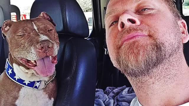 Senior shelter dog was desperate for love. Then he found the perfect home